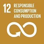 UN sustainable development goal 12